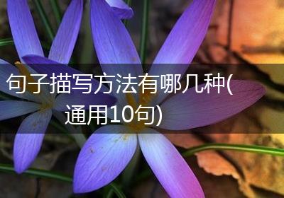 句子描写方法有哪几种(通用10句)
