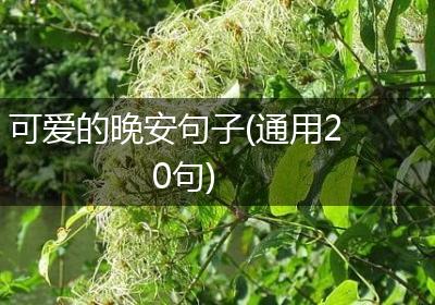 可爱的晚安句子(通用20句)