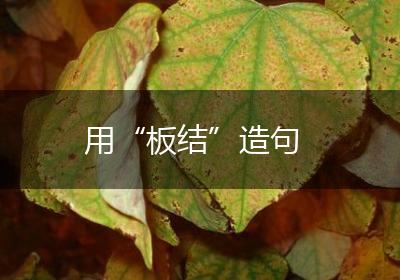 用“板结”造句