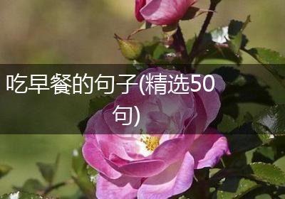 吃早餐的句子(精选50句)