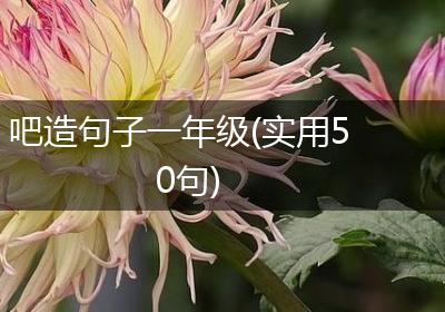 吧造句子一年级(实用50句)