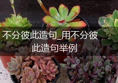 不分彼此造句_用不分彼此造句举例