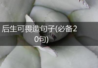 后生可畏造句子(必备20句)