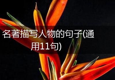 名著描写人物的句子(通用11句)