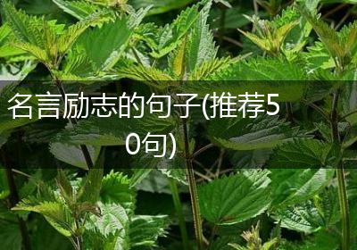 名言励志的句子(推荐50句)