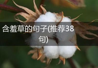 含羞草的句子(推荐38句)