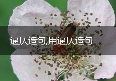 逼仄造句,用逼仄造句