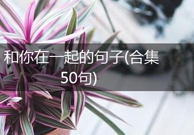 和你在一起的句子(合集50句)