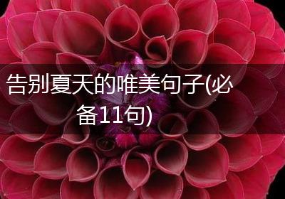 告别夏天的唯美句子(必备11句)