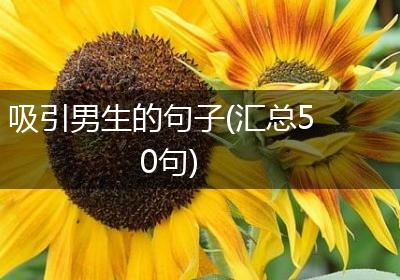 吸引男生的句子(汇总50句)