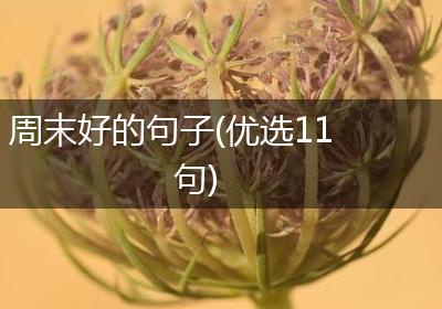 周末好的句子(优选11句)