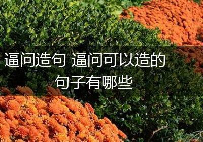 逼问造句 逼问可以造的句子有哪些