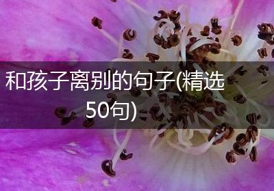 和孩子离别的句子(精选50句)