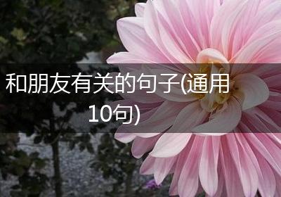 和朋友有关的句子(通用10句)