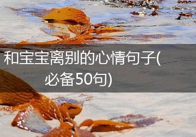 和宝宝离别的心情句子(必备50句)