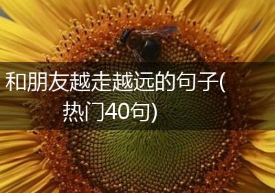 和朋友越走越远的句子(热门40句)