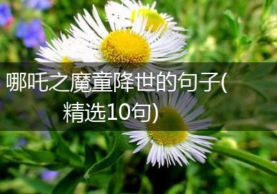 哪吒之魔童降世的句子(精选10句)