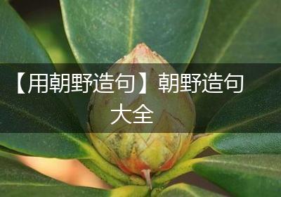 【用朝野造句】朝野造句大全