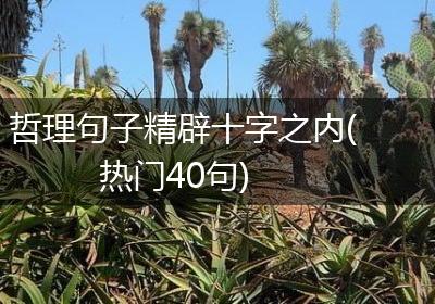 哲理句子精辟十字之内(热门40句)