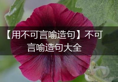 【用不可言喻造句】不可言喻造句大全