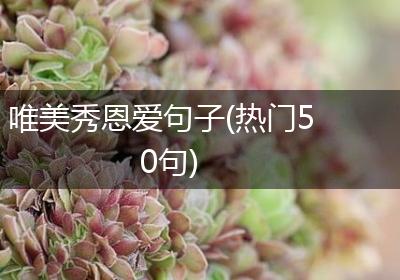 唯美秀恩爱句子(热门50句)