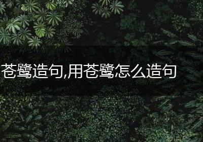 苍鹭造句,用苍鹭怎么造句