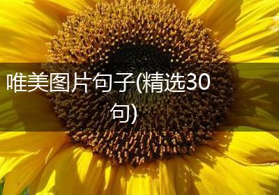 唯美图片句子(精选30句)