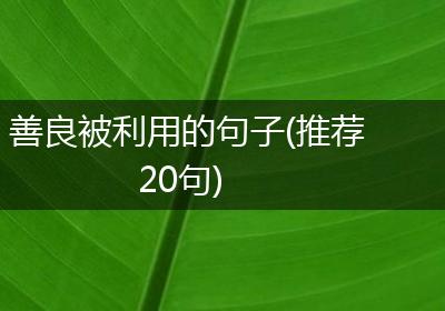 善良被利用的句子(推荐20句)