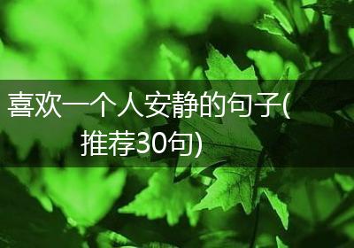 喜欢一个人安静的句子(推荐30句)