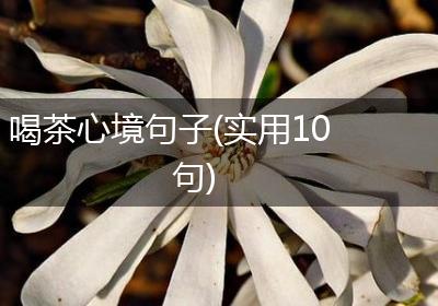喝茶心境句子(实用10句)