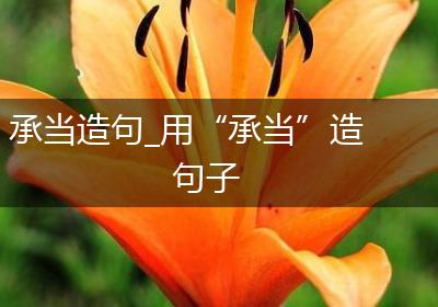 承当造句_用“承当”造句子