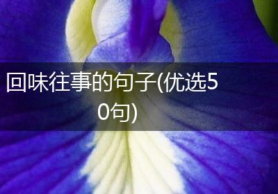 回味往事的句子(优选50句)