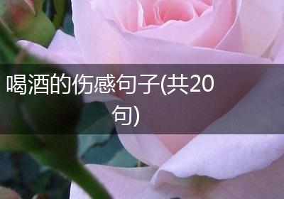 喝酒的伤感句子(共20句)