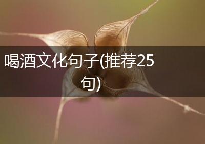 喝酒文化句子(推荐25句)