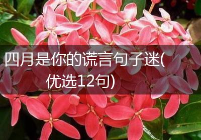 四月是你的谎言句子迷(优选12句)