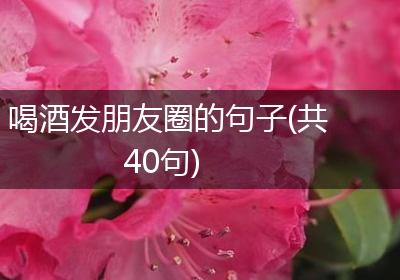 喝酒发朋友圈的句子(共40句)