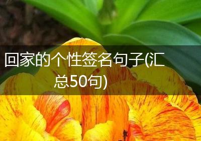 回家的个性签名句子(汇总50句)