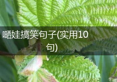 嗮娃搞笑句子(实用10句)