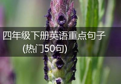 四年级下册英语重点句子(热门50句)