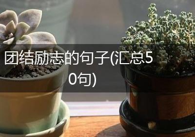团结励志的句子(汇总50句)