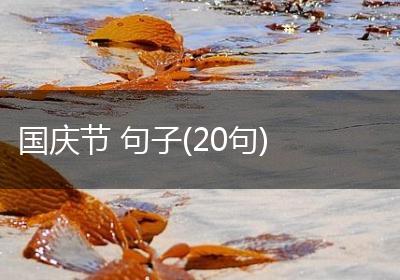 国庆节 句子(20句)