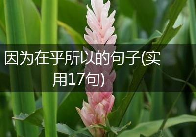 因为在乎所以的句子(实用17句)