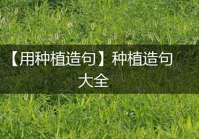 【用种植造句】种植造句大全
