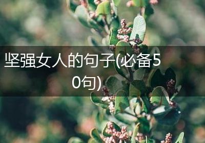 坚强女人的句子(必备50句)