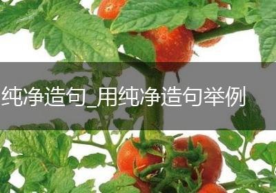 纯净造句_用纯净造句举例
