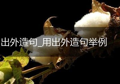 出外造句_用出外造句举例