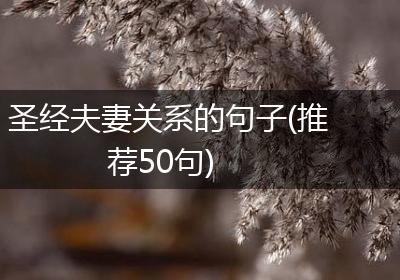 圣经夫妻关系的句子(推荐50句)