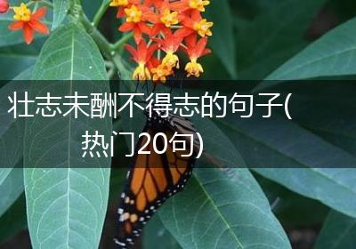 壮志未酬不得志的句子(热门20句)