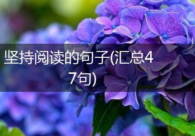 坚持阅读的句子(汇总47句)