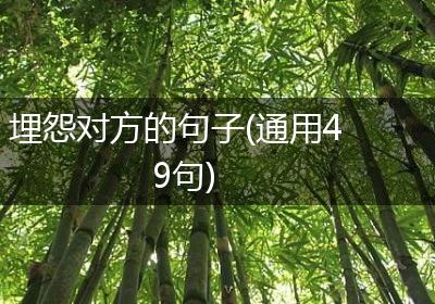 埋怨对方的句子(通用49句)
